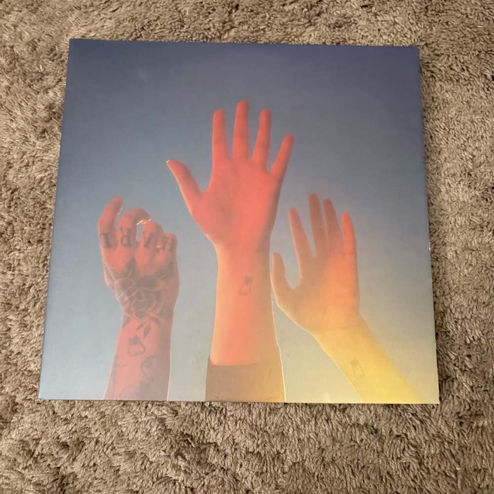 Boy Genius The Record Vinyl